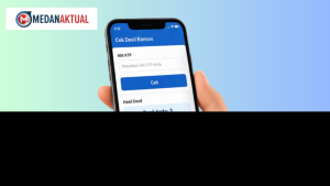 Cara Cepat Cek Status Desil April 2026 Tanpa Ribet Lewat HP